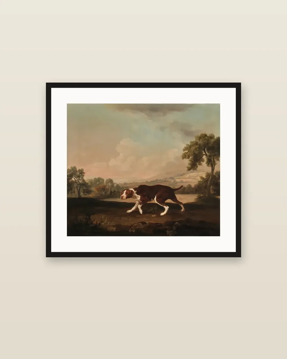 The Spanish Pointer by George Stubbs, framed