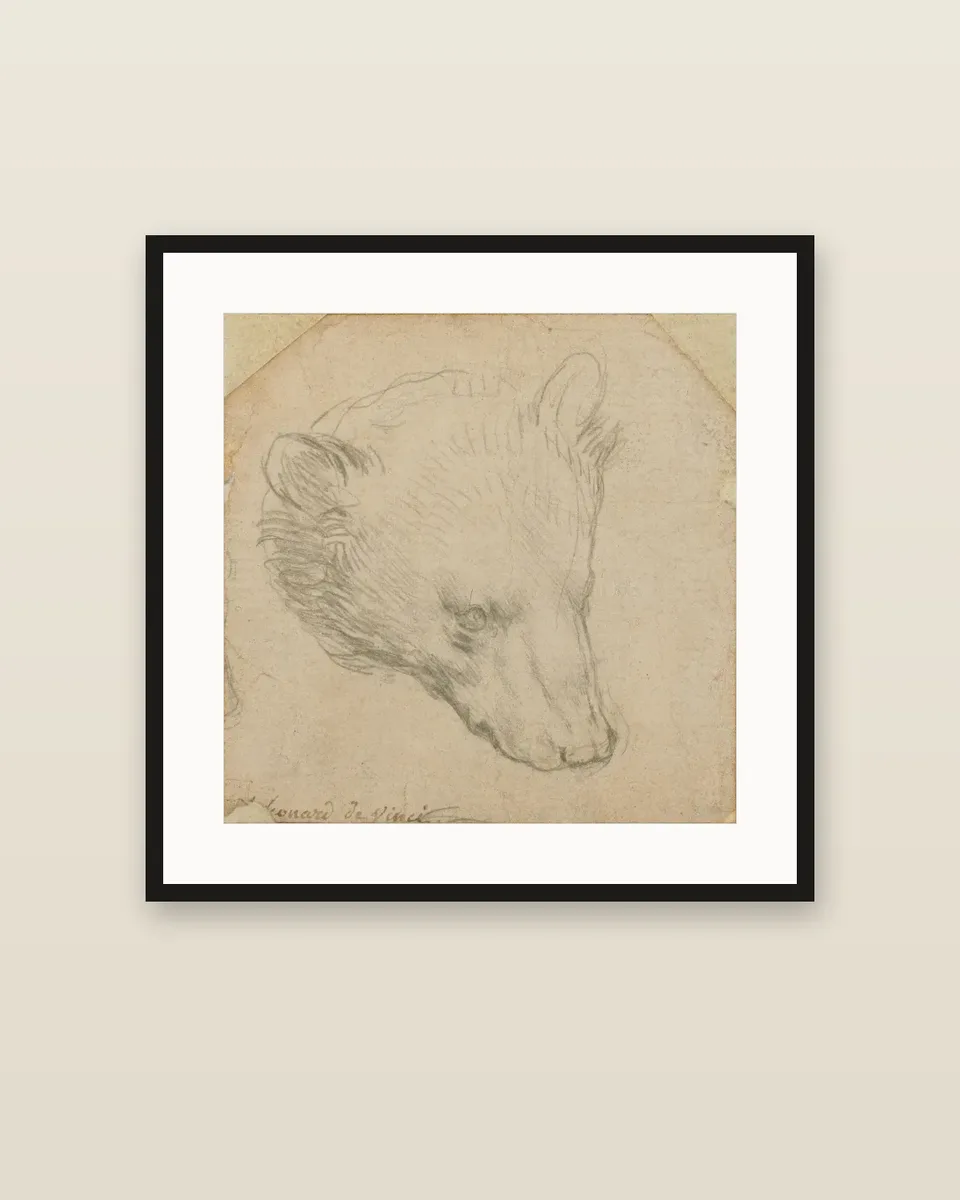 Head of a bear by Leonardo da Vinci, framed