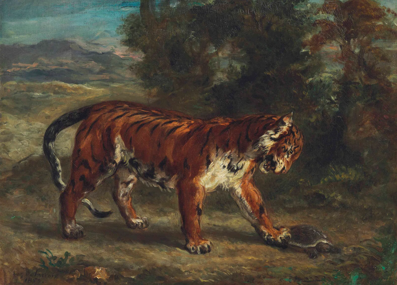 Tigre jouant avec une tortue (Tiger Playing with a Tortoise), Eugène Delacroix