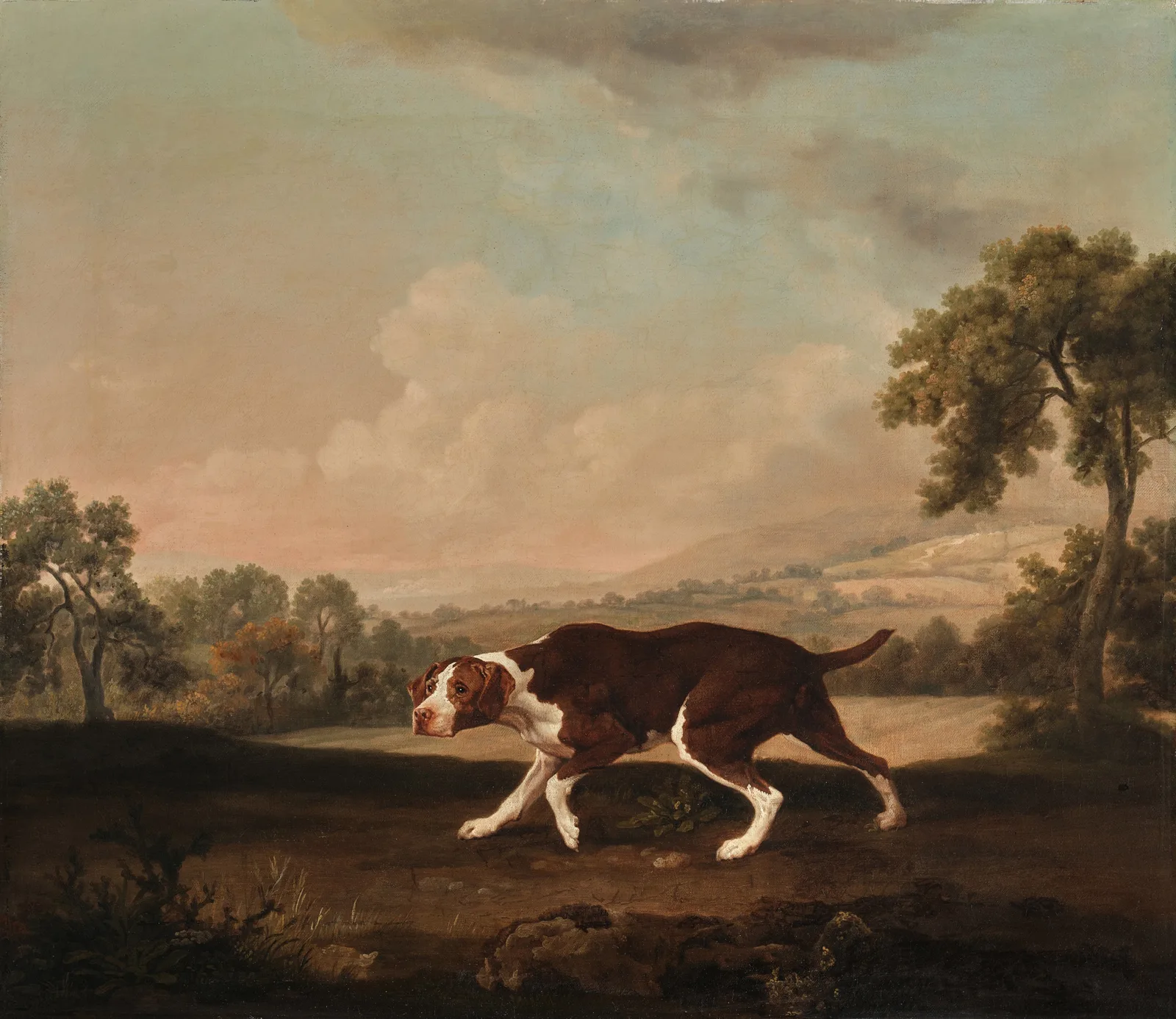 The Spanish Pointer, George Stubbs
