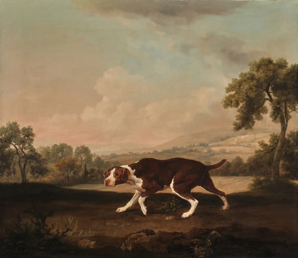 The Spanish Pointer, George Stubbs