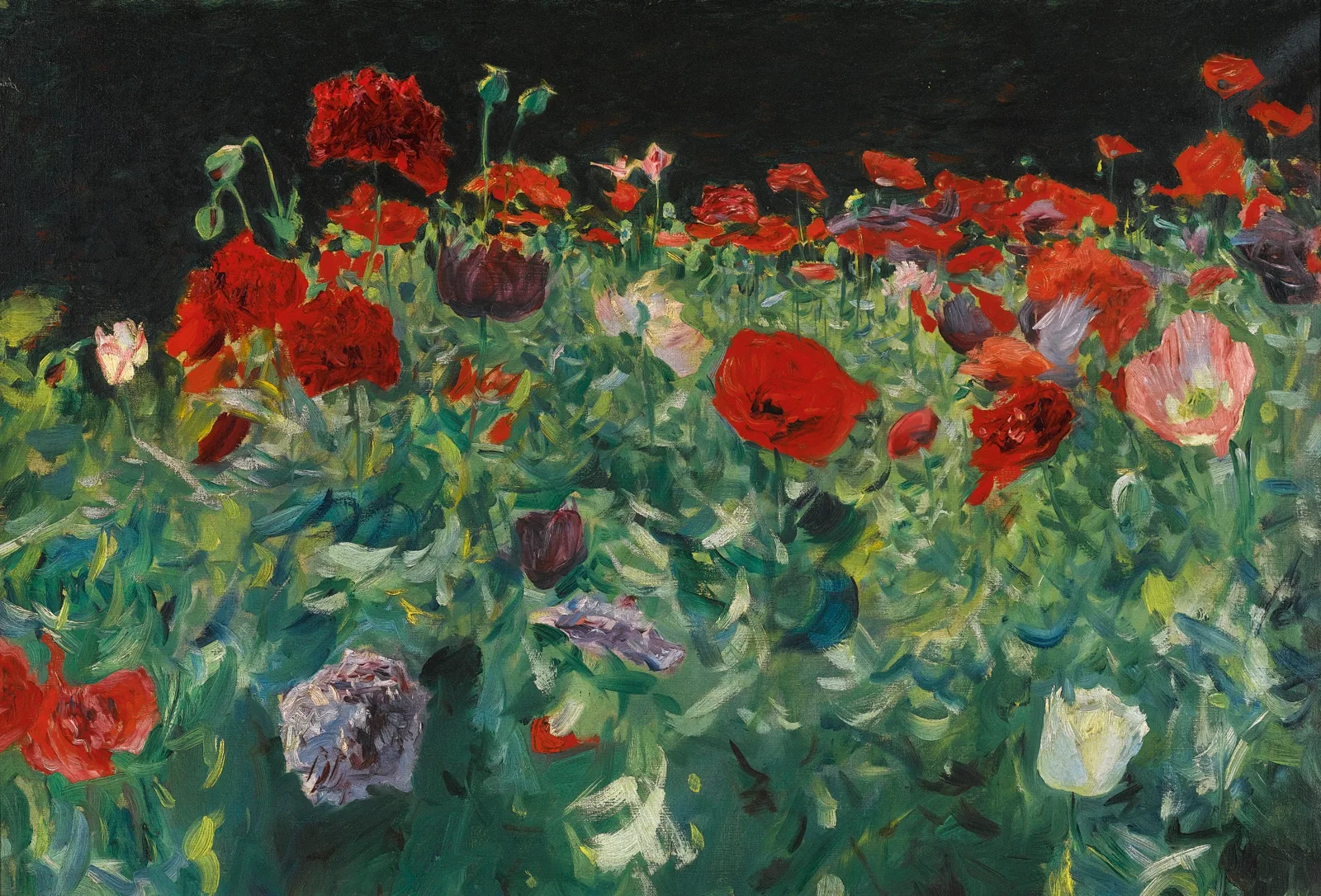 Poppies (A Study of Poppies for 'Carnation, Lily, Lily, Rose'), John Singer Sargent