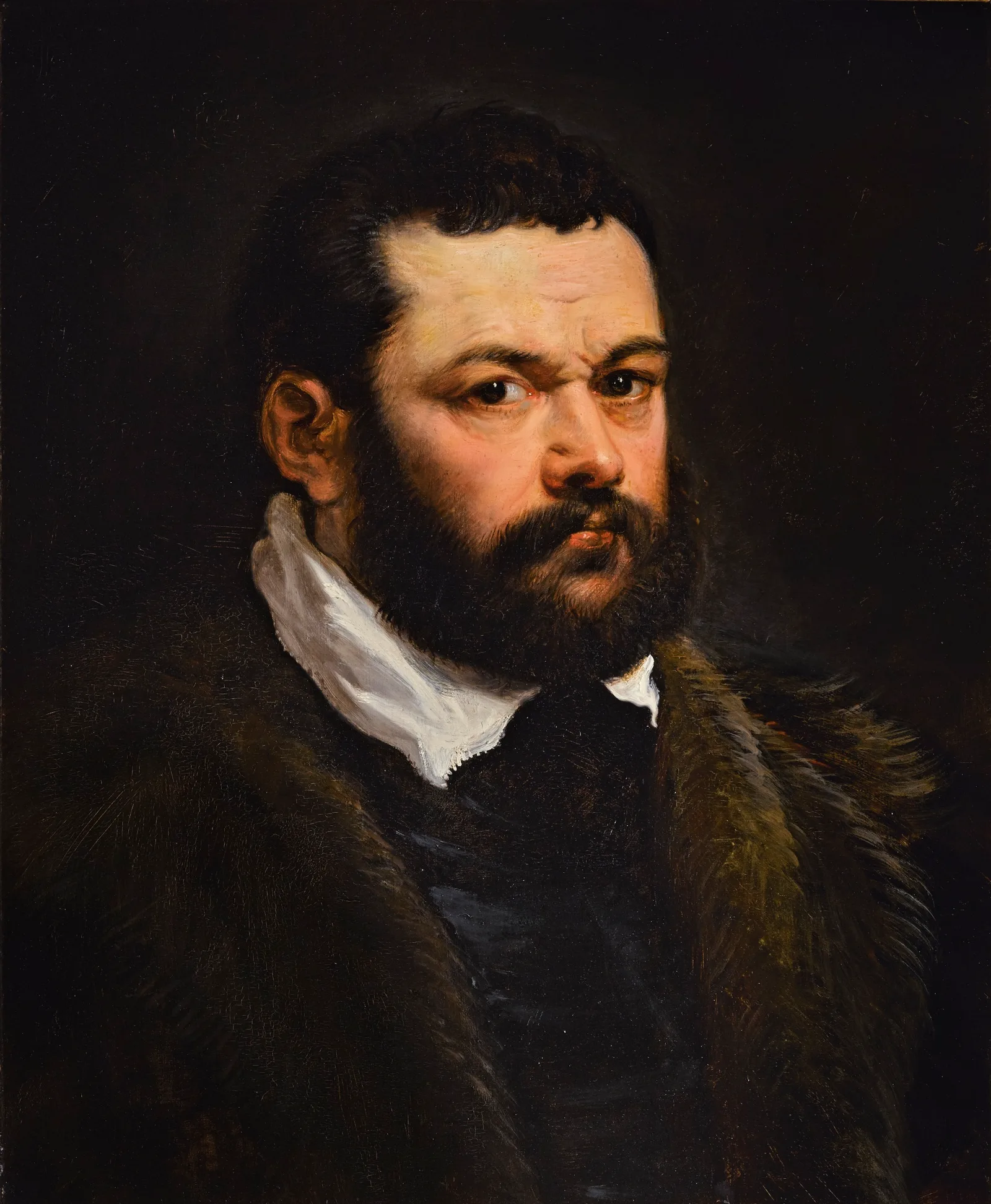 Portrait of a Venetian Nobleman, Peter Paul Rubens