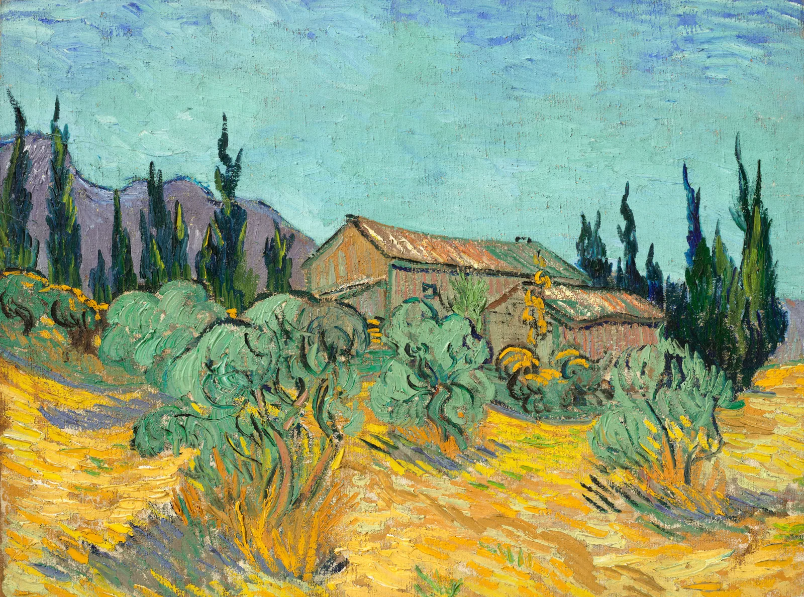 Cabanes de bois parmi les oliviers et cyprès, Vincent van Gogh