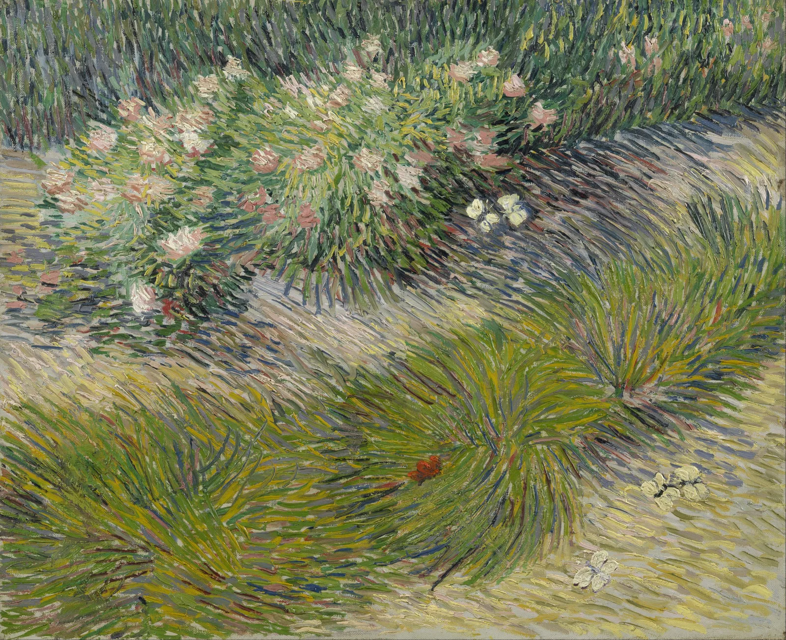 Close view of a flower bed with tall grasses and small flowers, with butterflies among the greenery.