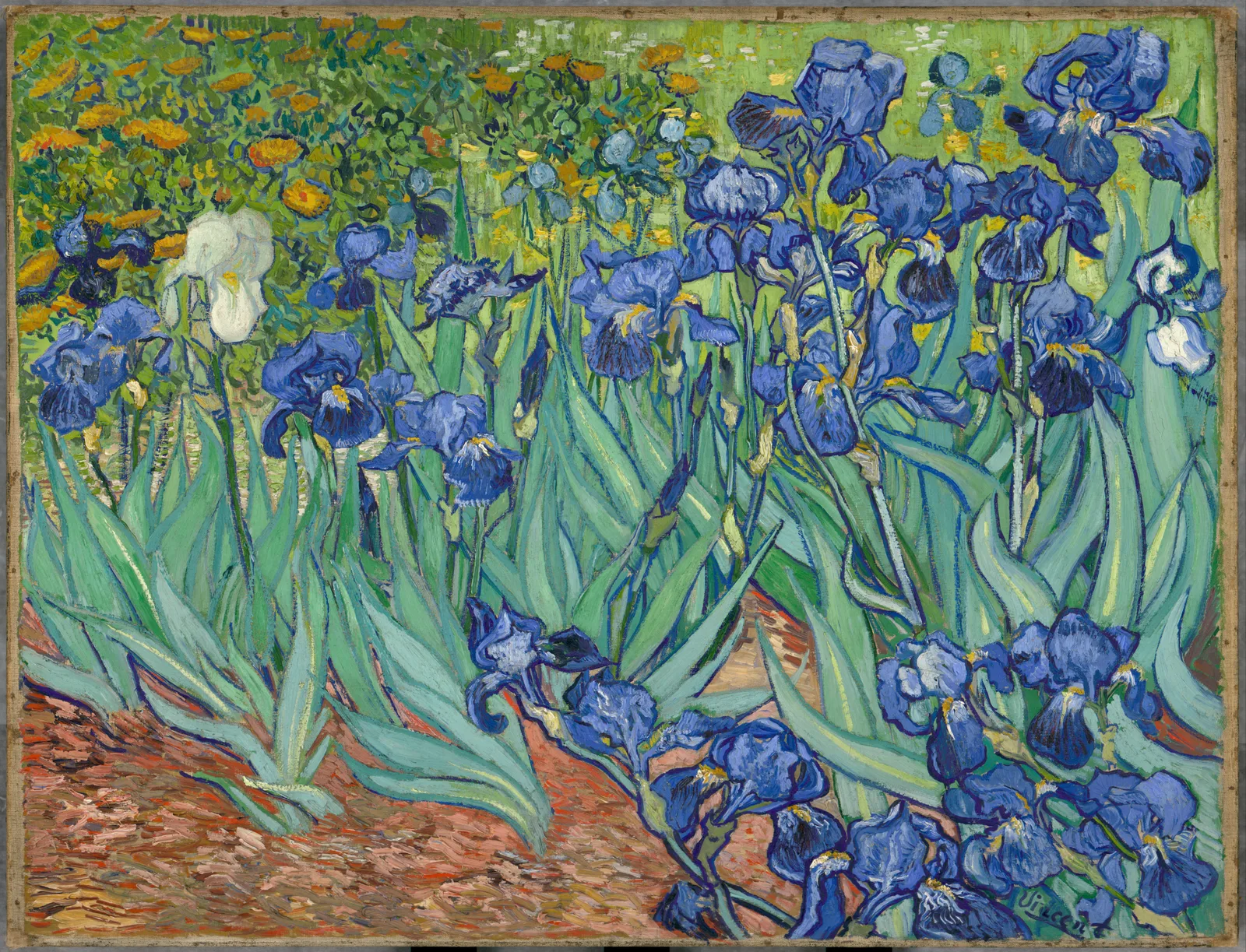 Irises, Vincent van Gogh
