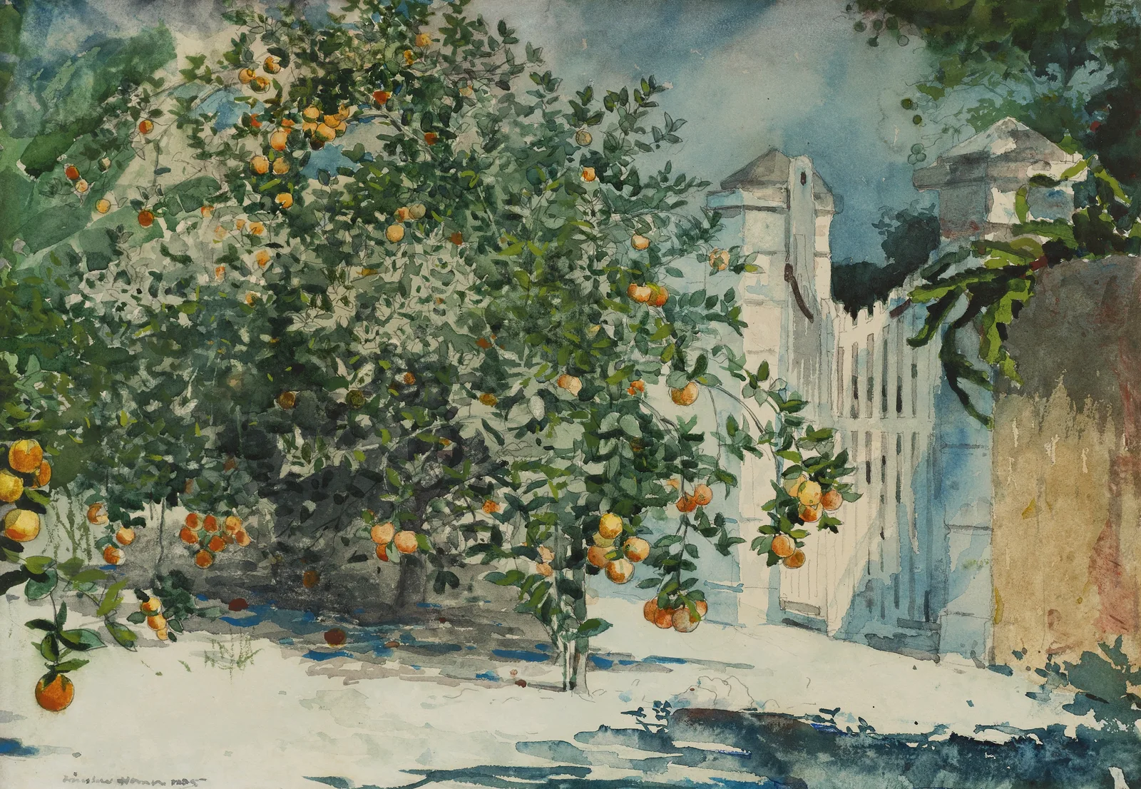 Orange Trees and Gate, Winslow Homer